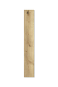 SPC AUBURN (2).webp