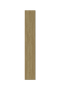 SPC HAYA (2).webp