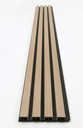 PANEL STUDIO